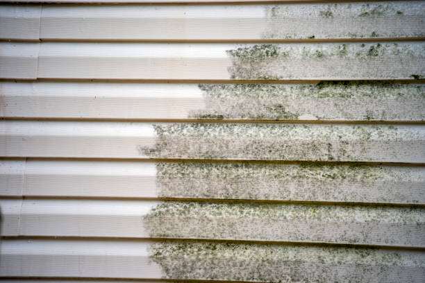 Historical Building Siding Restoration in Saticoy, CA