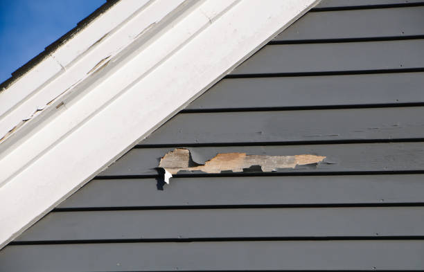 Storm Damage Siding Repair in Saticoy, CA